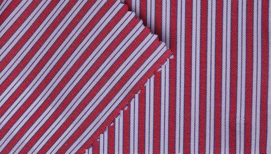 Red and Navy stripe cotton shirting fabric