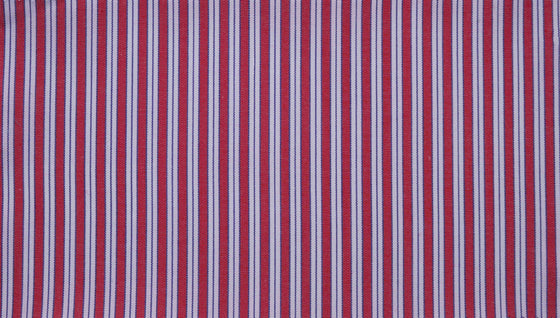 Red and Navy stripe cotton shirting fabric