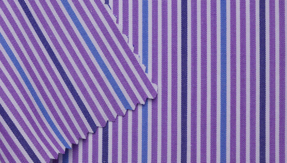 3909/04 - Purple / Blue