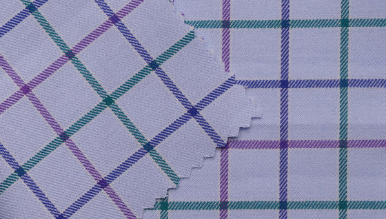 4008/60/51 - Blue / Purple