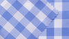 Blue Gingham Check shirting fabric