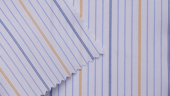 6067/60/50 - Blue / Gold