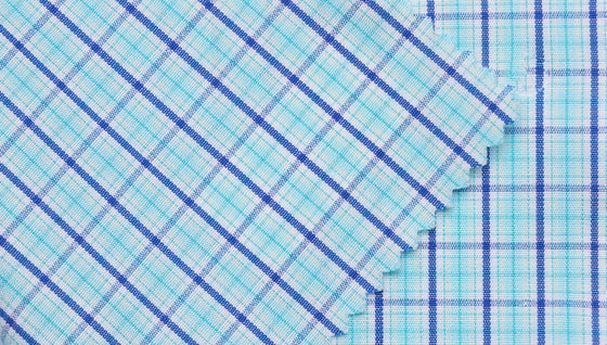 6072/60/55 - Mint / Navy
