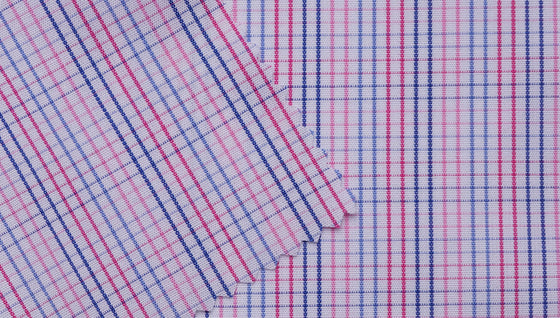 6079/60/09 - Blue / Pink