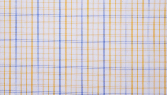 8077/07 - Gold / Blue