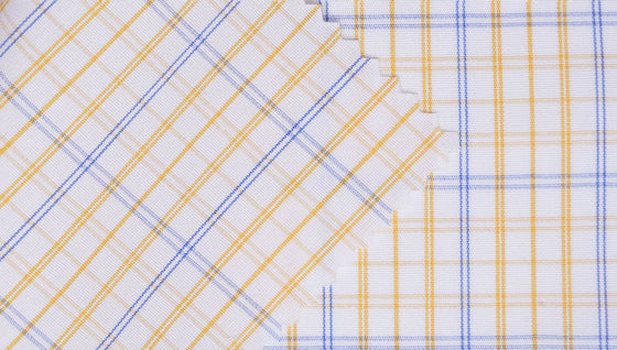 8077/07 - Gold / Blue